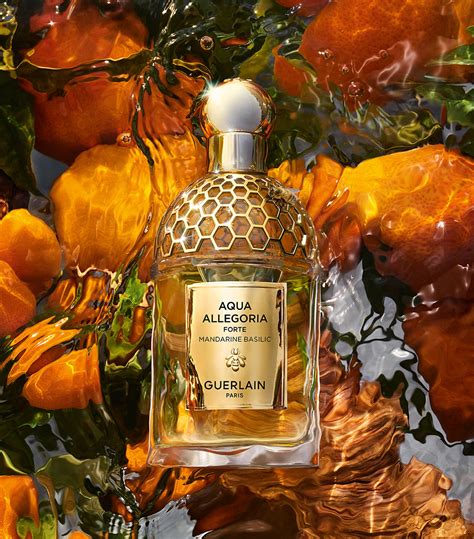 guerlain aqua allegoria mandarine basilic uk|aqua allegoria mandarine basilic fragrantica.